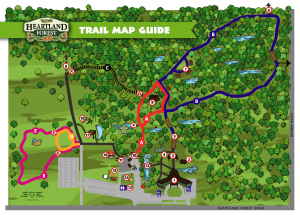Trail-Map-Vector