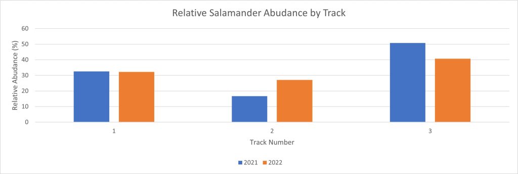Salamander Abundance By Track