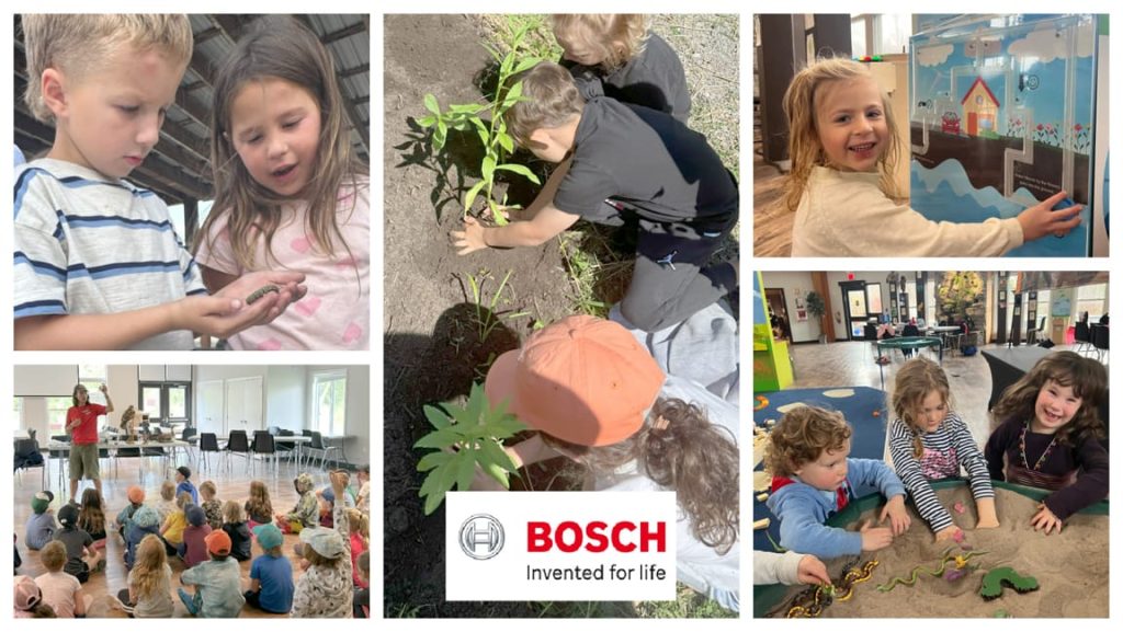Bosch Collage For Website