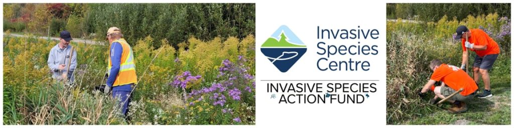 Invasive Species Banner