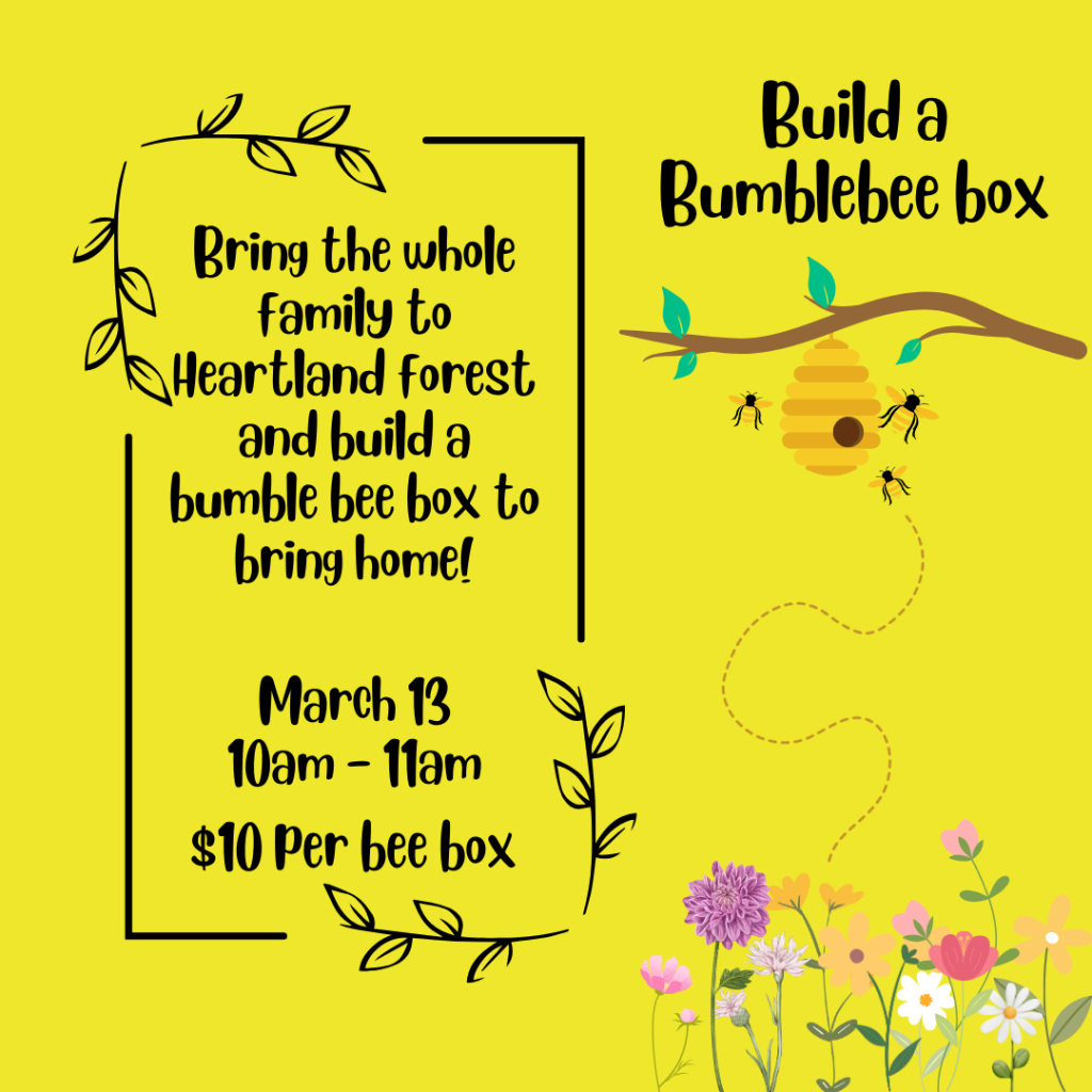 Build A Bee Box