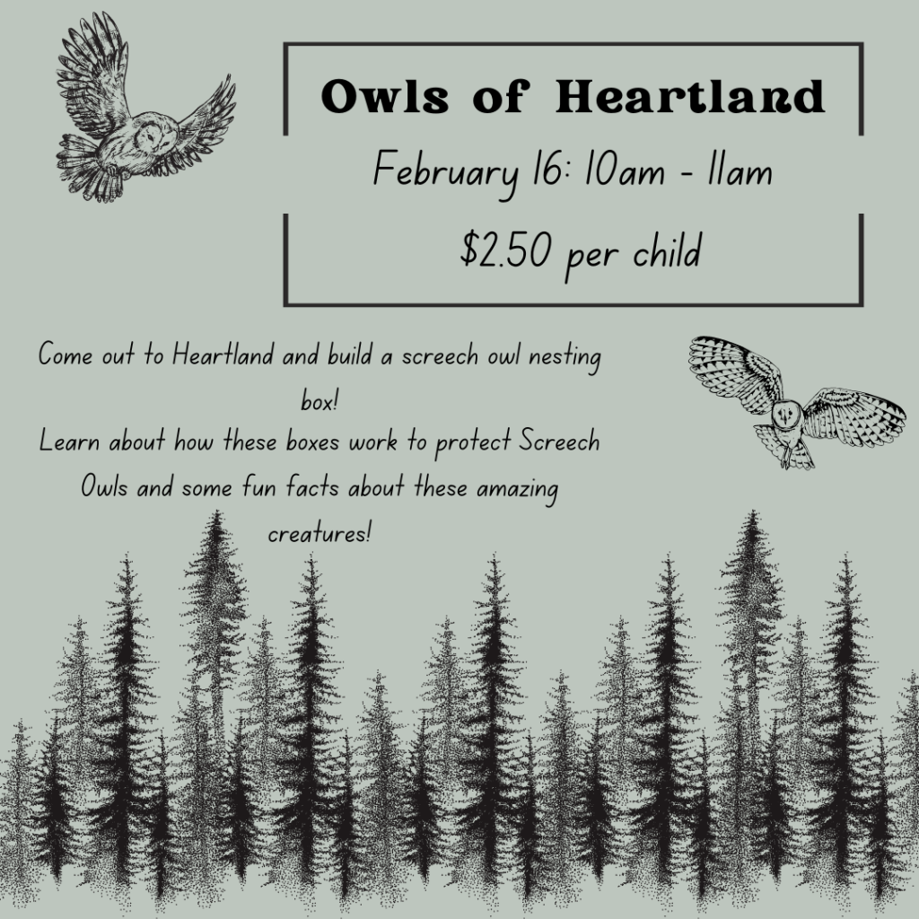 Owls Of Heartland