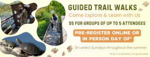 Guided Trail Walks Banner