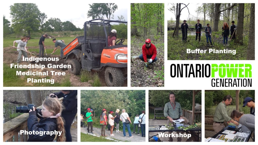 Opg Env Grant 2024 Collage