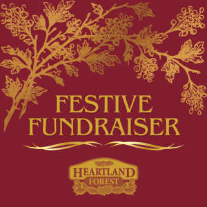 Heartland Festive Fundraiser