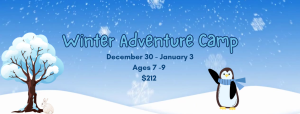 Winter Camp Website Banner (1152 X 437 Px)