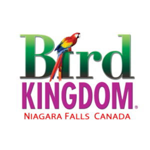 Bird Kingdom Logo