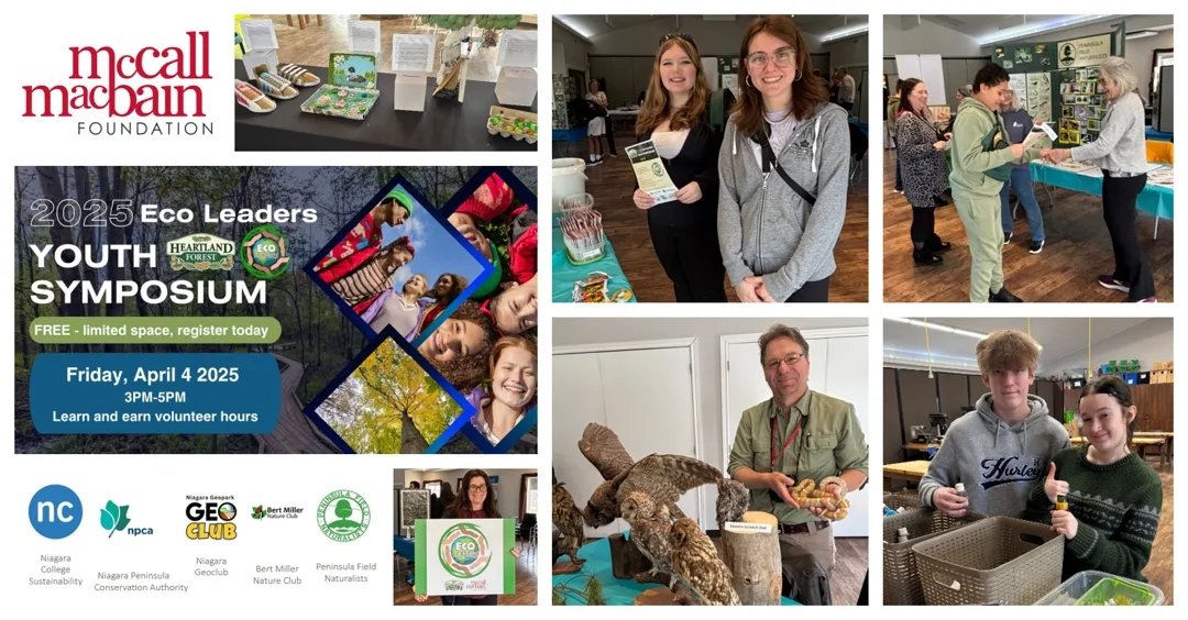 Eco summit collage
