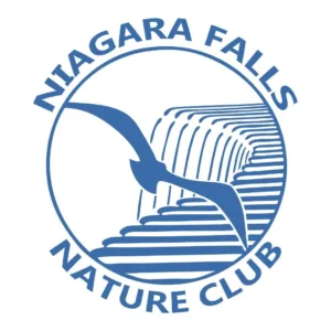 Fb img 1740670608419