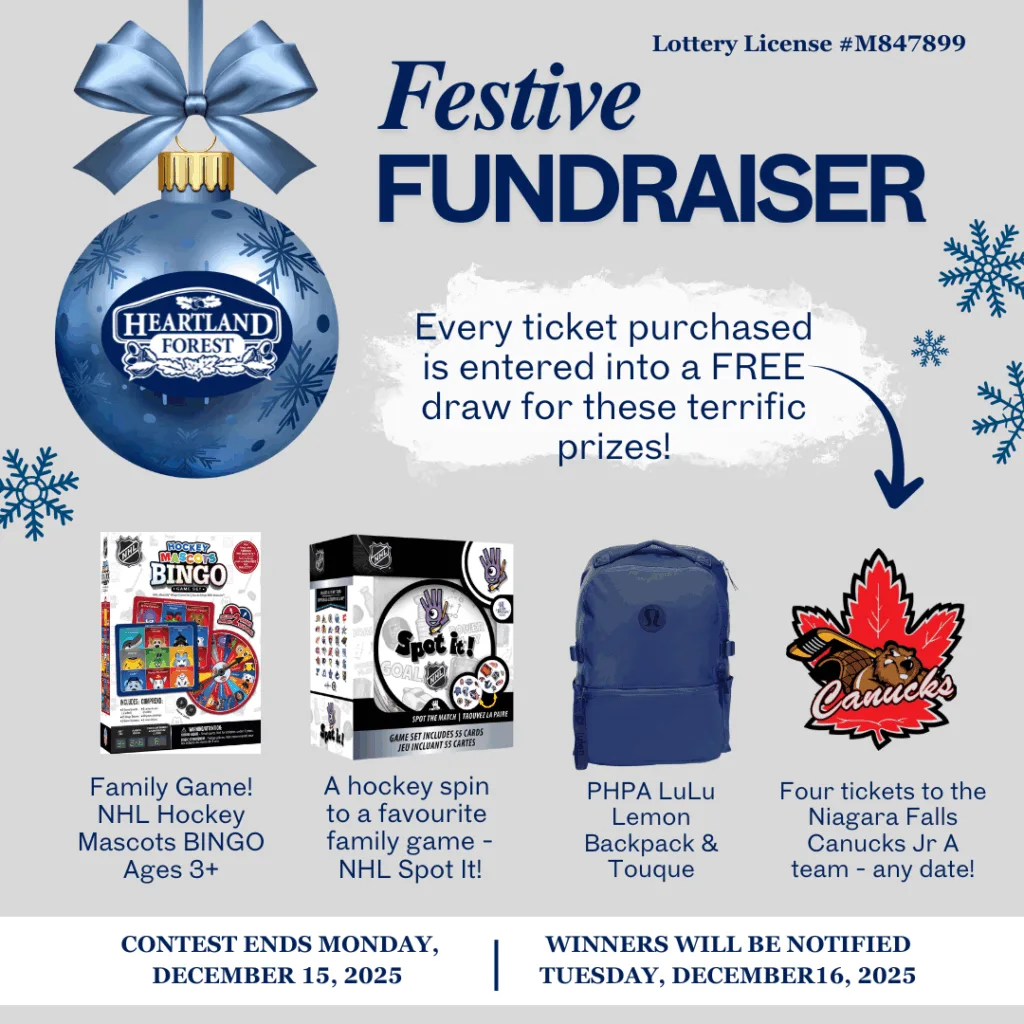 Festive fundraiser prizes