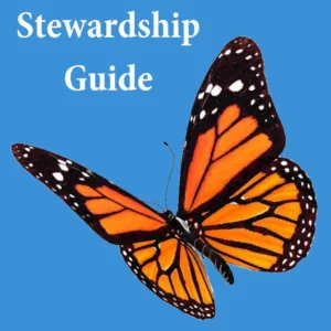 Stewardship guide image