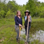 Friends of Wetlands