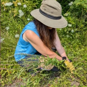 Invasive pull